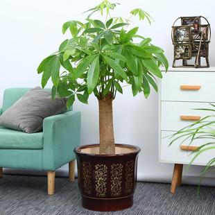 陶瓷花盆家用客厅大号中式花盘金钱树幸福树发财树花盆专用高花瓶