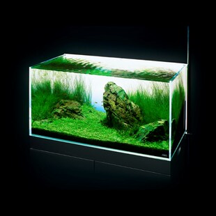 热销ADA背景灯水草鱼缸发光背板含静电吸附膜观赏拍照效果好发圆