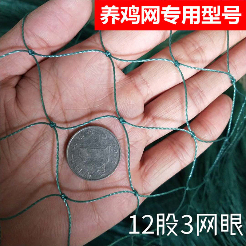 热销养鸡围网养鸡顶网家禽养殖网养鸡网拦鸡网挡鸡网养鸡围栏网围