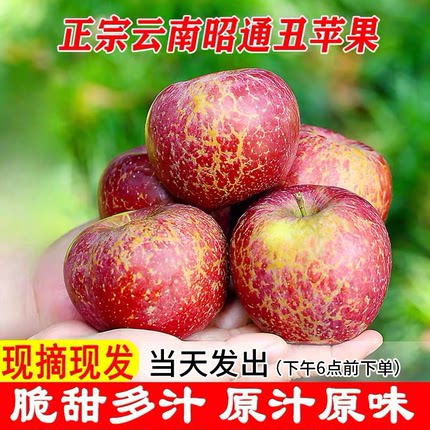 【包脆包甜】正宗云南昭通冰糖心丑苹果新鲜水果甜脆红苹果5/9斤