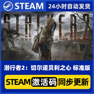 Steam正版PC国区CDKey  潜行者2：切尔诺贝利之心 现货秒发激活码