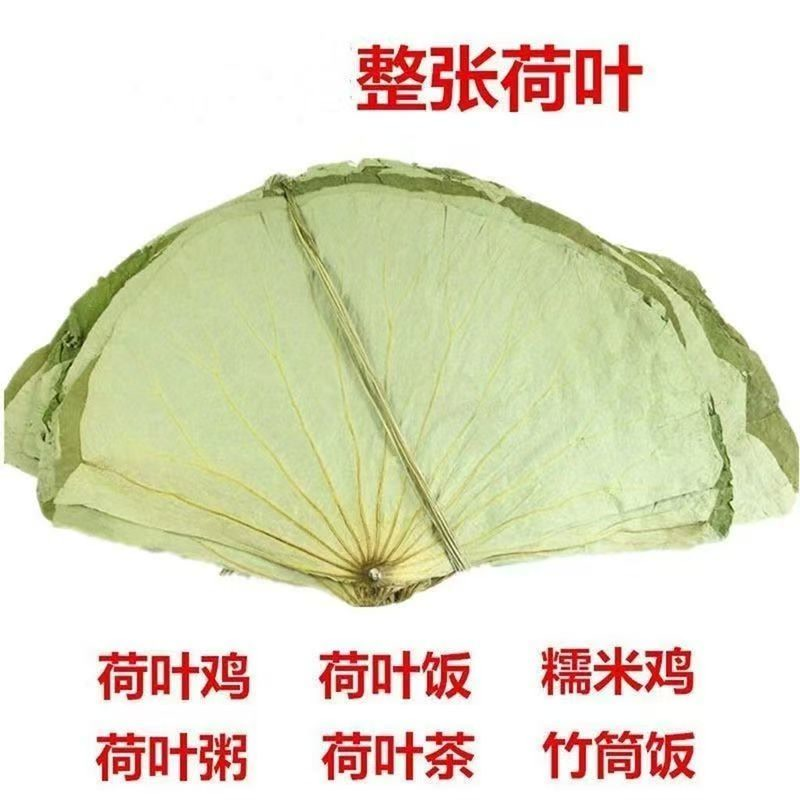 荷叶整张荷叶荷叶茶荷叶片干荷叶糯米鸡荷叶鸡荷叶饭荷叶整张批发