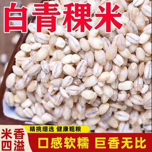 正宗白青稞米青海高原谷物低脂五谷杂粮易熟好煮米香四溢清甜适口