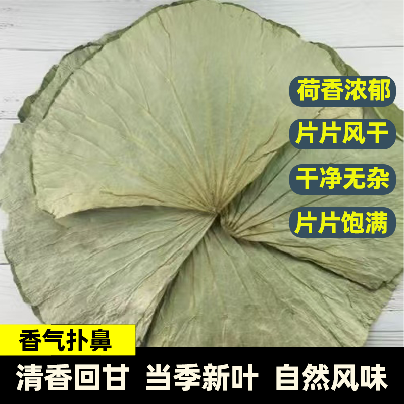 微山湖干荷叶整张荷叶鸡荷叶茶厚实饱满叶脉清晰清香醇正新鲜大张