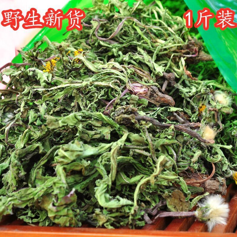 沂蒙山蒲公英野生蒲公英茶整棵带根带花新鲜晒干布布丁天然婆婆丁