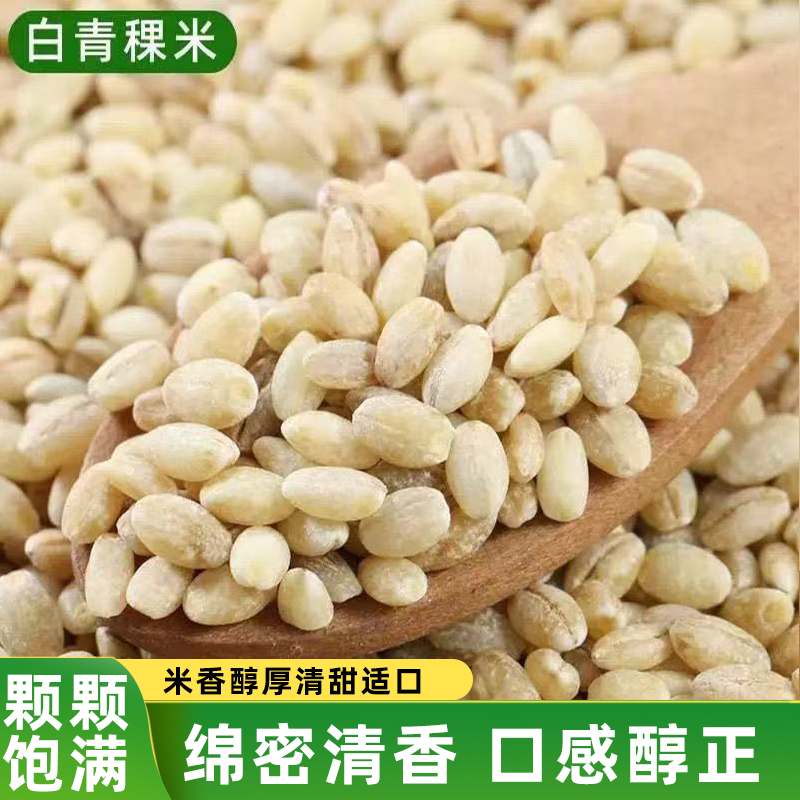 正宗白青稞米青海高原谷物低脂五谷杂粮颗颗饱满米香四溢口感软糯