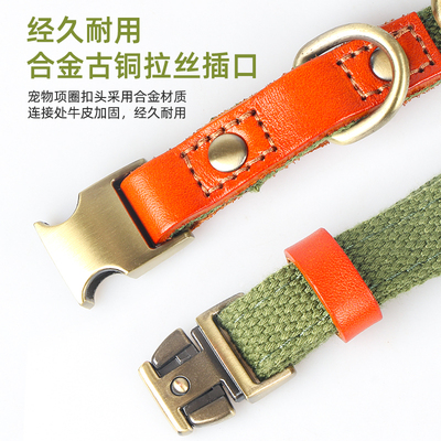 热销狗狗项圈刻字防走丢狗脖圈狗牌子中大型犬宠物颈圈脖套宠物吊