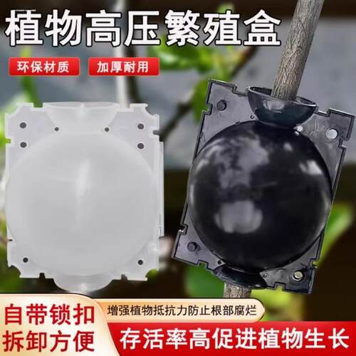 热销植物高压嫁接盒繁殖球生根包控根神器果树扦插育苗背枝园艺繁