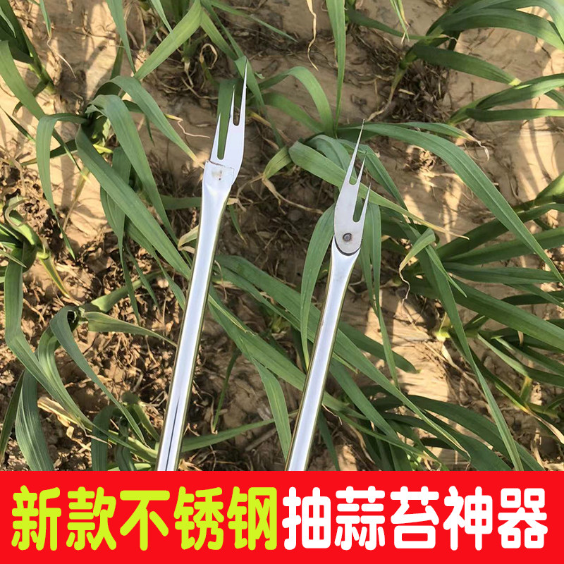 热销蒜苔收割神器抽蒜苔的工具蒜苔收割刀拔剥打划提揪摘滴蒜薹收