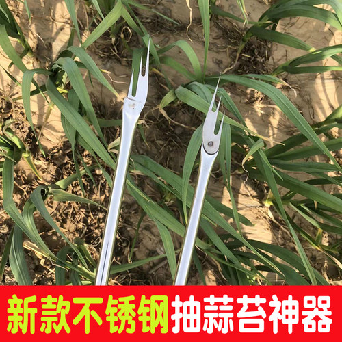 热销蒜苔收割神器抽蒜苔的工具蒜苔收割刀拔剥打划提揪摘滴蒜薹收