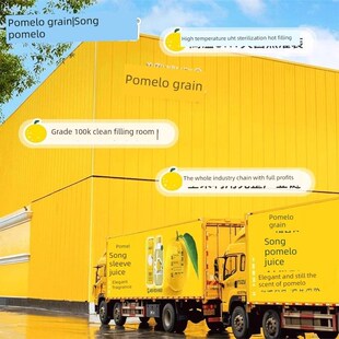 柚子谷宋柚汁300ml罐装宋柚汁双柚汁西柚汁饮料常山Z湖柚子饮料