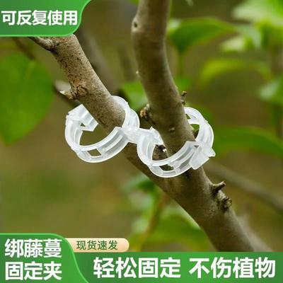 植物固定夹卡扣爬藤植物大号固定器西红柿茄子月季植物藤蔓固定夹