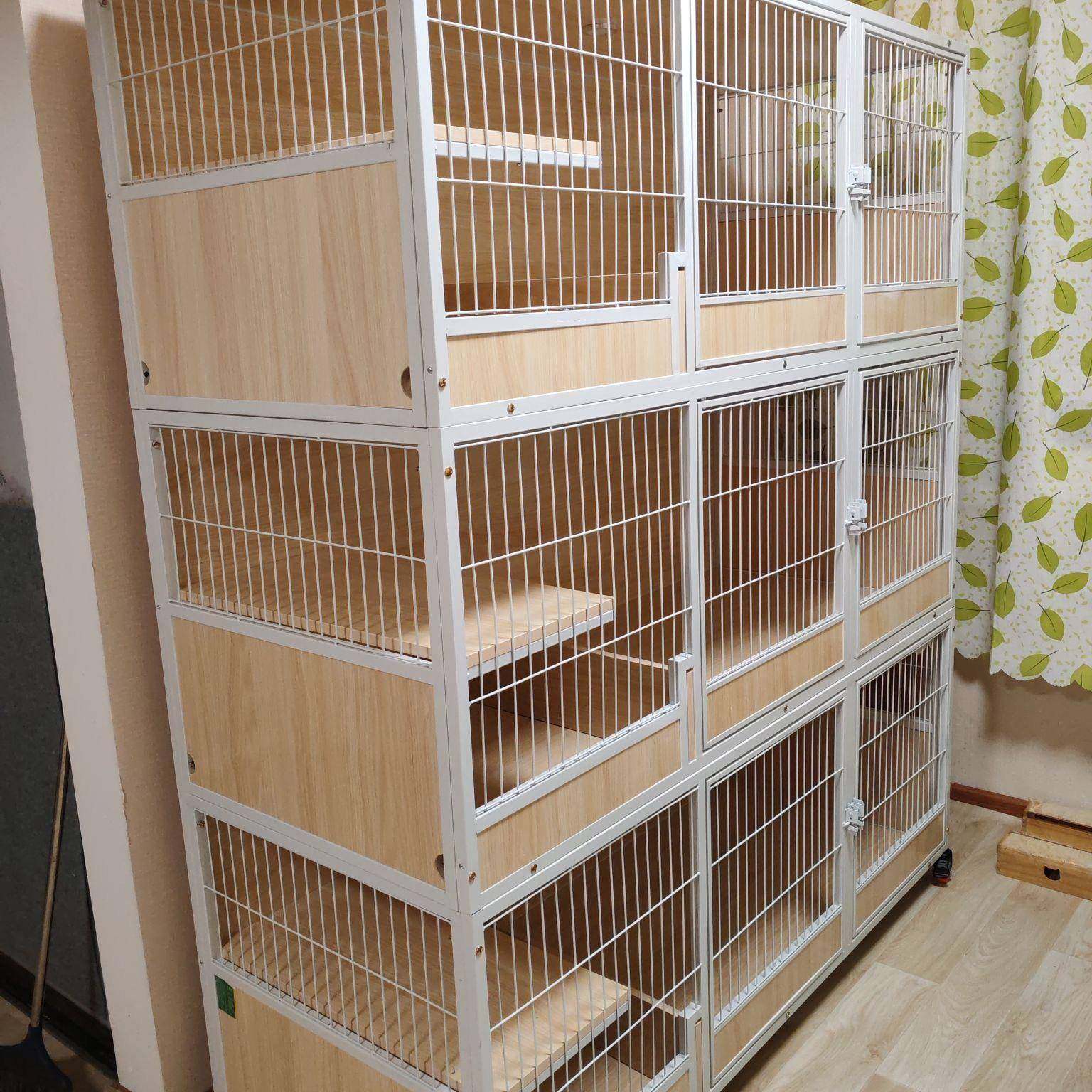 繁柜育猫笼实木养多层组合子繁育猫笼猫舍寄繁殖用笼234猫自由大