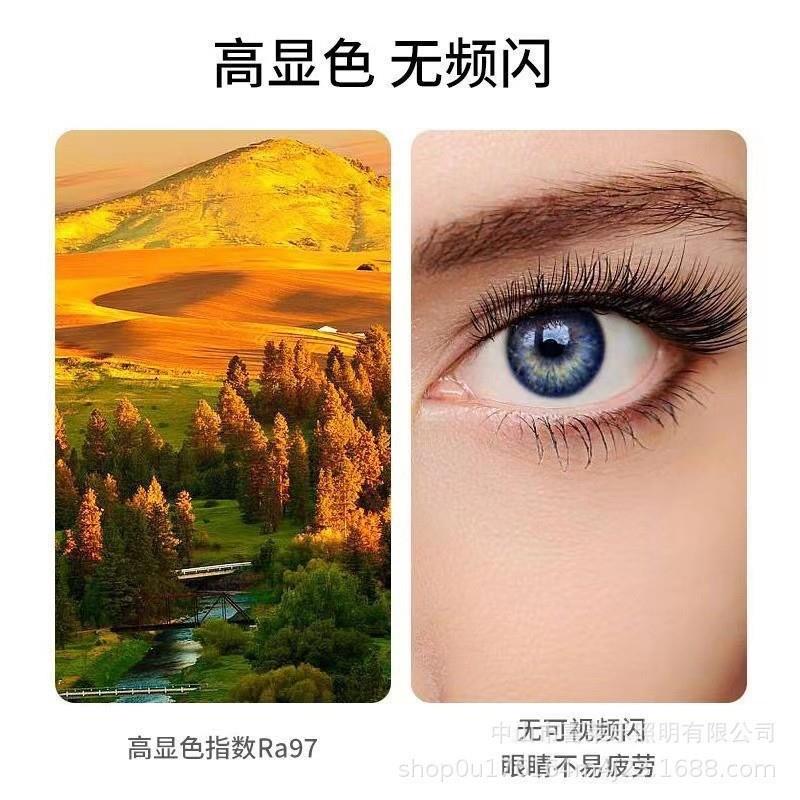 全光谱代书卧479室灯60度可摇头静音简约现风扇灯温馨卧房主吸顶