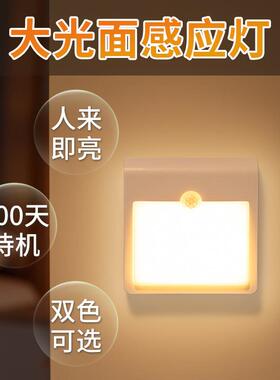 智能人体自动感26169应人小人夜灯入户灯来即亮走即夜灭楼道间跨