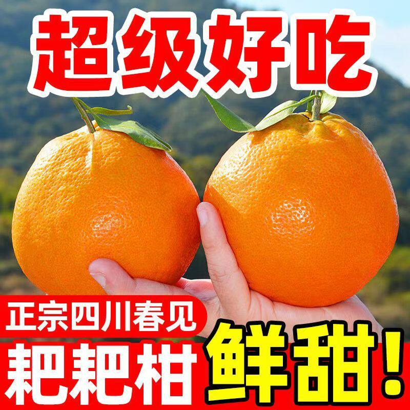 正宗四川眉山春见耙耙柑当季时令新鲜水果现摘发货手剥橘子整箱