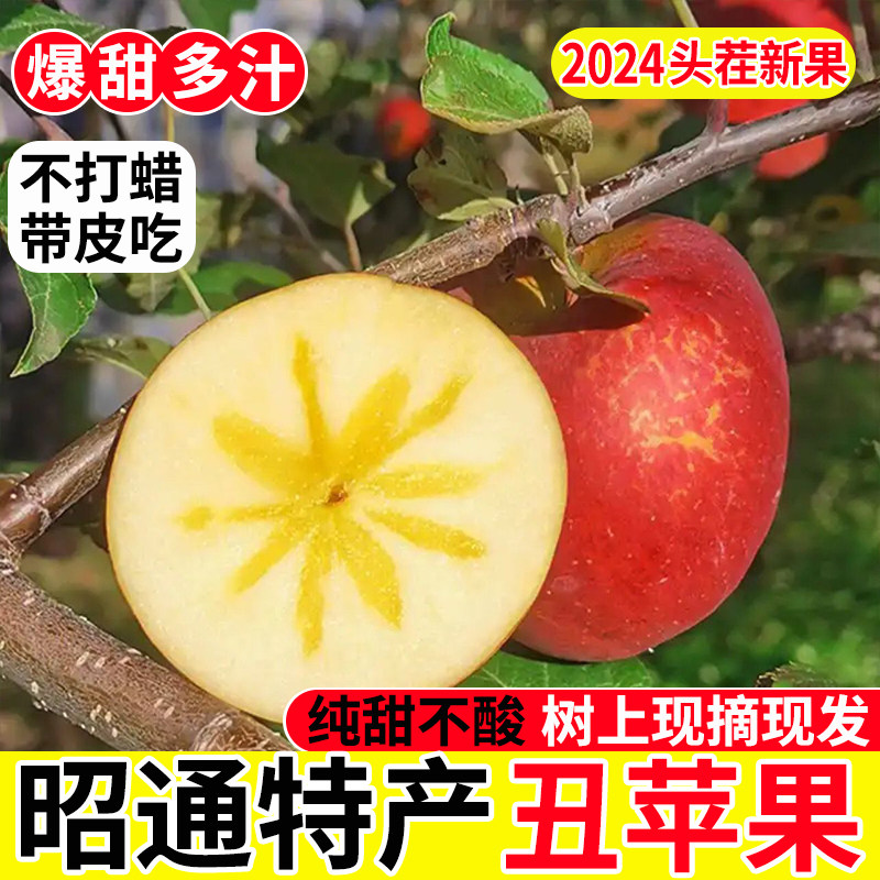 云南昭通丑苹果当季现摘时令新鲜水果脆甜多汁冰糖心红富士整箱