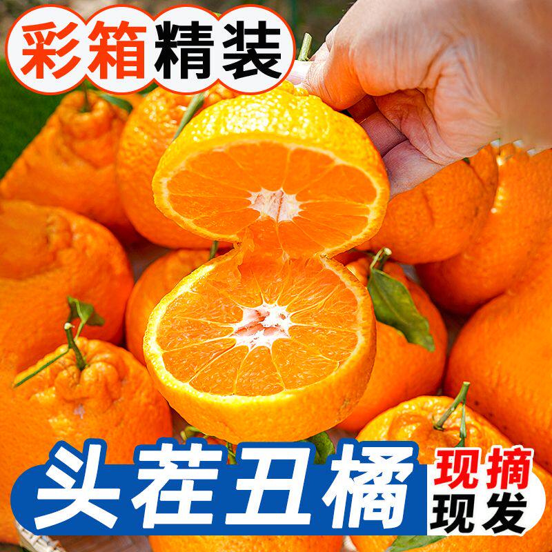 正宗四川不知火丑橘子时令应季新鲜水果现摘发货整箱当季丑八怪柑