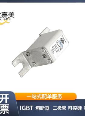 170M1853170M2615170M2619快速熔断器电子元器件库存充足