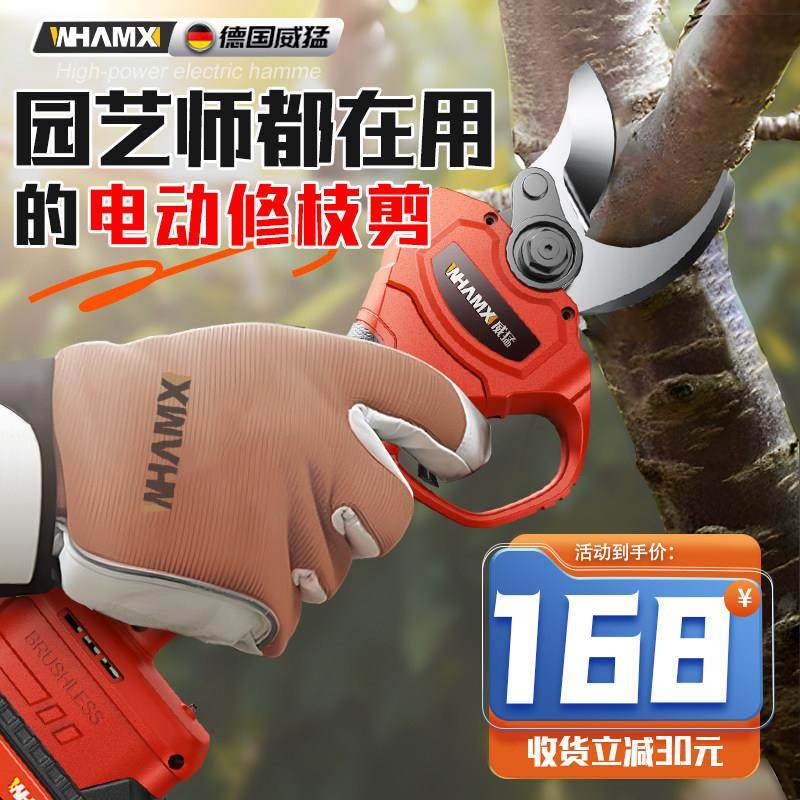德国精选进口电动剪刀充电式锂电剪园林果树树枝修枝剪园艺剪子电,鲜花速递/花卉仿真/绿植园艺,剪刀,淘宝优惠券,粉丝福利购,淘宝优惠卷