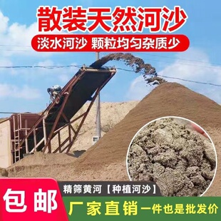 10斤散装河沙砂石细沙粗沙沙包用沙黄沙土沙子中沙砂浆建筑用包邮