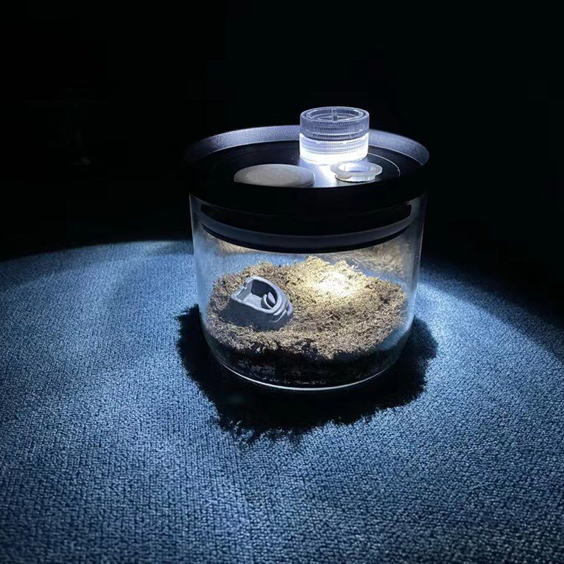 跳蛛盒蝈蝈笼子油葫芦蛐蛐电报蛉盒子竹蛉蝎子蜈蚣蜘蛛盒鸣虫叫罐