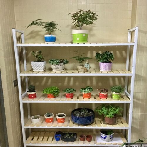 铁艺花架落地式花盆架多层室内外实木花架客厅阳台绿萝防腐花架子