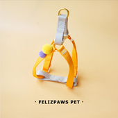 狗狗牵引绳小型 可爱比熊泰迪宠物专用狗绳子小型犬狗绳防遛狗绳