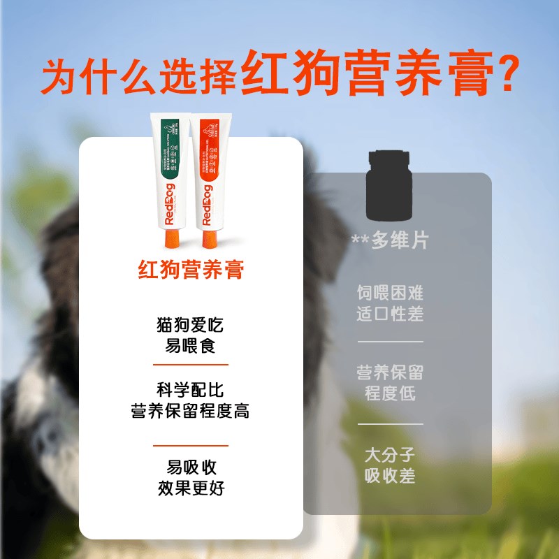 RedDog红狗化毛膏排毛吐毛球猫咪专用狗狗营养膏手术补充补钙120g