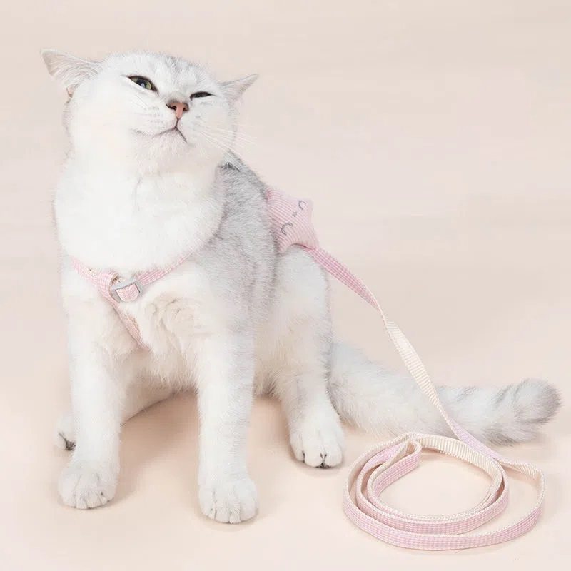 猫咪牵引绳防挣脱户外遛猫绳溜猫链子宠物狗狗卡通胸背带外出专用,宠物/宠物食品及用品,猫牵引绳,淘宝优惠券,粉丝福利购,淘宝优惠卷