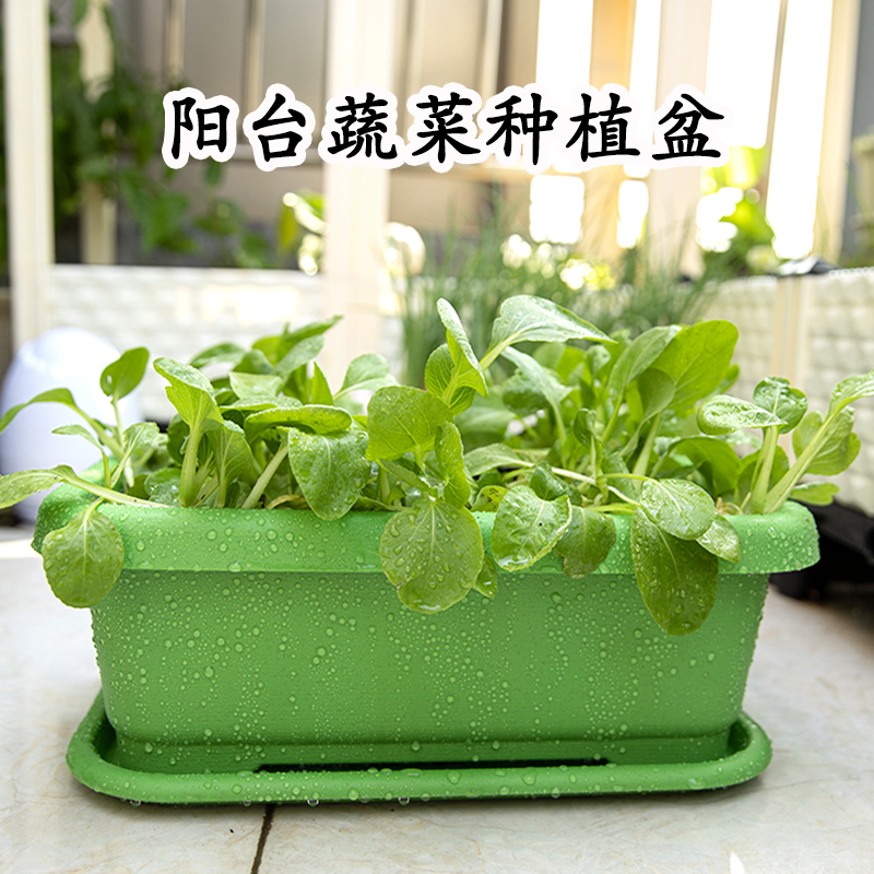 阳台蔬菜种植盆 长形花盆种菜养花家用 种菜盆专用带托盘室内大号