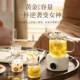 养生壶多功能家用小型迷你办公室全自动烧水煮茶器茶壶保温全玻璃