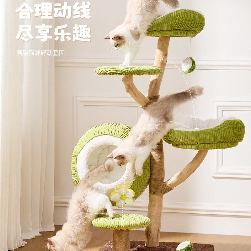 喵想树青椰猫爬架家用实木猫窝猫树一体小户型不占地猫爬架子