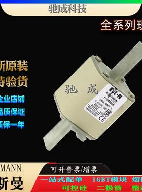 巴斯曼170M5805170M5806170M5807厂家直供零售高速熔断器