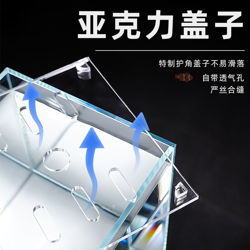 泰国斗鱼缸观赏鱼斗鱼鱼缸小型玻璃桌面办公室造景摆件全套