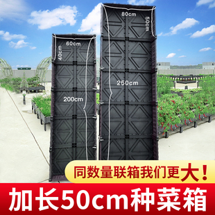 儿童种菜种植箱长方形塑料花盆花箱户外楼顶家庭阳台蔬菜神器