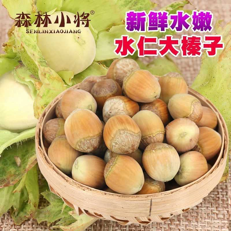 新鲜大榛子水仁脱皮榛子东北大榛子坚果特产坚果