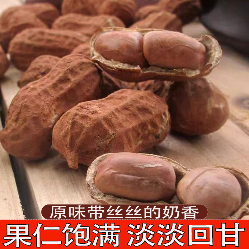 福建特产龙岩花生新鲜制作颗颗饱满营养丰富越嚼越香回味悠长花生