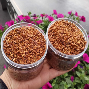 新货山核桃碎仁罐装临安酥脆坚果烘培休闲零核桃碎奶茶店点缀无壳