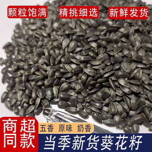 油葵黑珍珠小瓜子油葵花籽休闲毛嗑零食颗粒饱满美味香脆多种口味