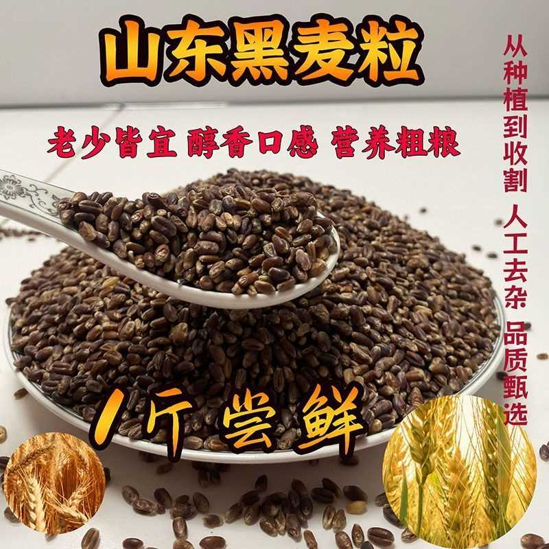 农家自种当季黑小麦原粮麦粒磨面煮粥粗粮五谷杂粮营养膳食