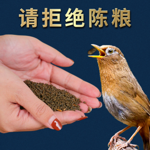 贵州凯里苗寨精品雷公山画眉鸟食饲料生鸟原毛唱鸟提性壮膘鸟粮