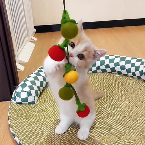 猫咪玩具猫薄荷小番茄串铃铛逗猫棒耐咬解放双手小猫自嗨解闷神器