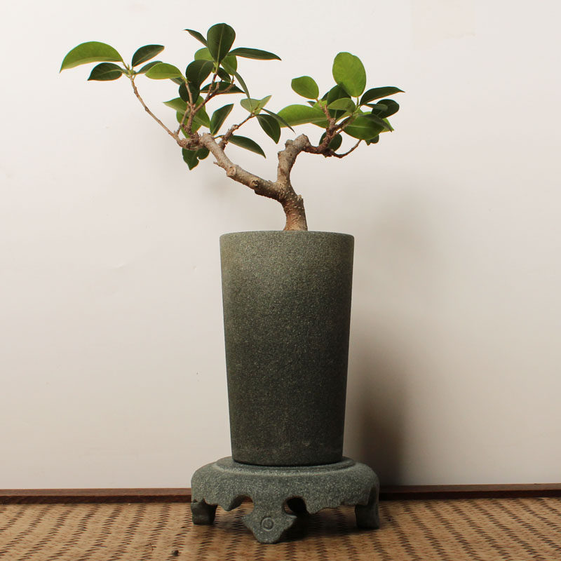 青石花盆摆设绿植石盆景兰花石用具桌面装饰景观整套石头底座花托
