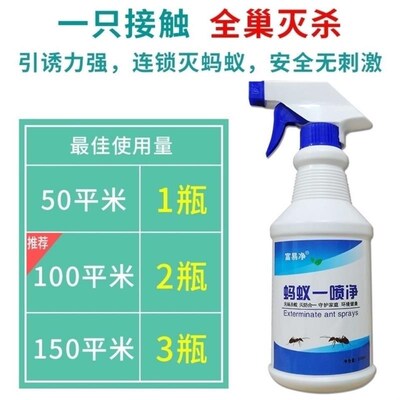 博景澋润青狐白瓶蚂蚁净灭蚁王白狐红火蚁黑黄小蚂蚁