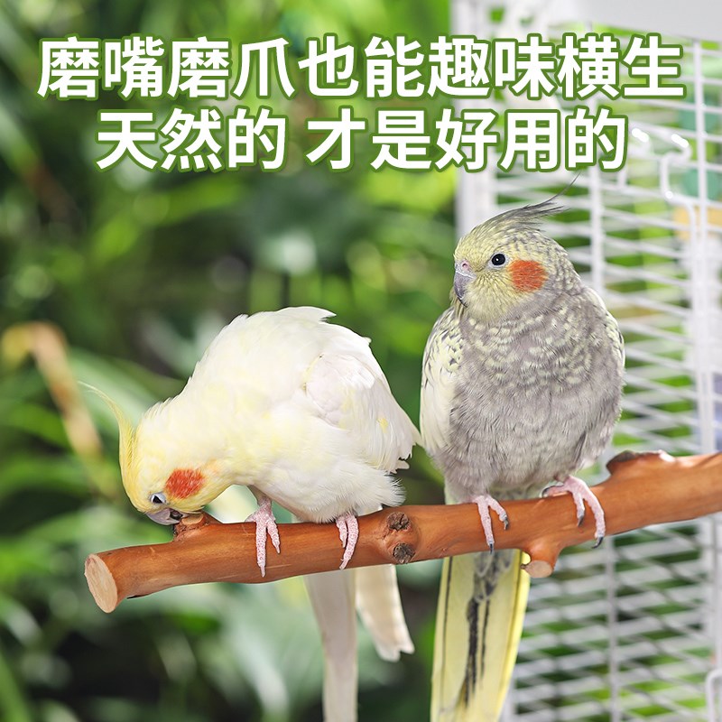 鹦鹉实木站杆鸟用玩具虎皮牡丹玄凤鸟笼配件磨爪棒鸟站棍栖站架