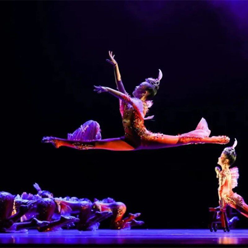 鲤鱼跃龙门第十二届小荷风采道具新款鱼儿欢歌儿童表演出舞蹈服装