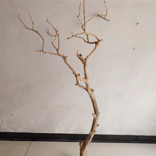 吊灯干枝分枝干树枝装饰树干枯枝室内天花板挂灯插花挂件舞台摆件
