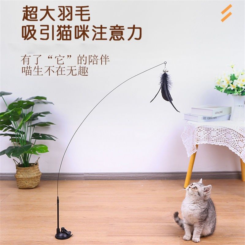 逗猫棒吸盘猫咪自嗨杆自动逗猫解闷神器小幼猫用品羽毛耐咬猫玩具,宠物/宠物食品及用品,逗猫棒,淘宝优惠券,粉丝福利购,淘宝优惠卷