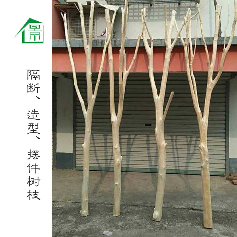 干树枝枯枝白树枝隔断装饰摆件干枝造景北欧风客厅创意屏风橱窗